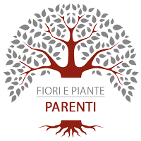 //onoranzefunebriparenti.it/wp-content/uploads/2024/12/LOGO-FIORI-200.png